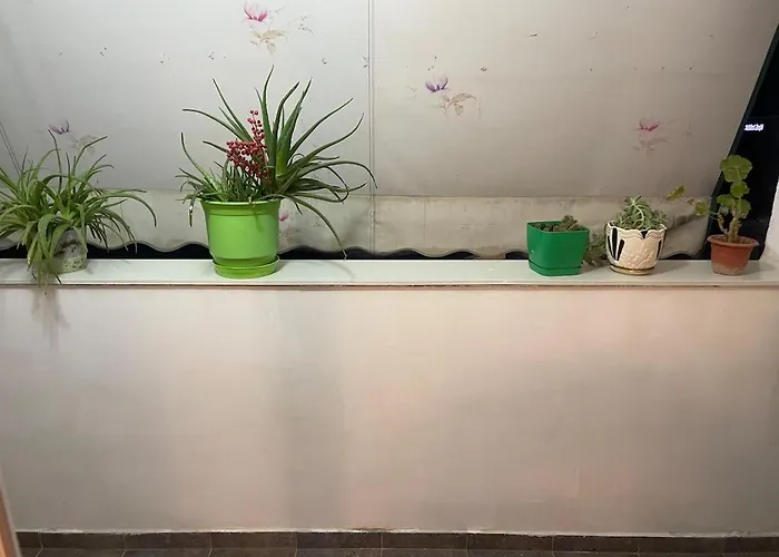 Redi Apartament